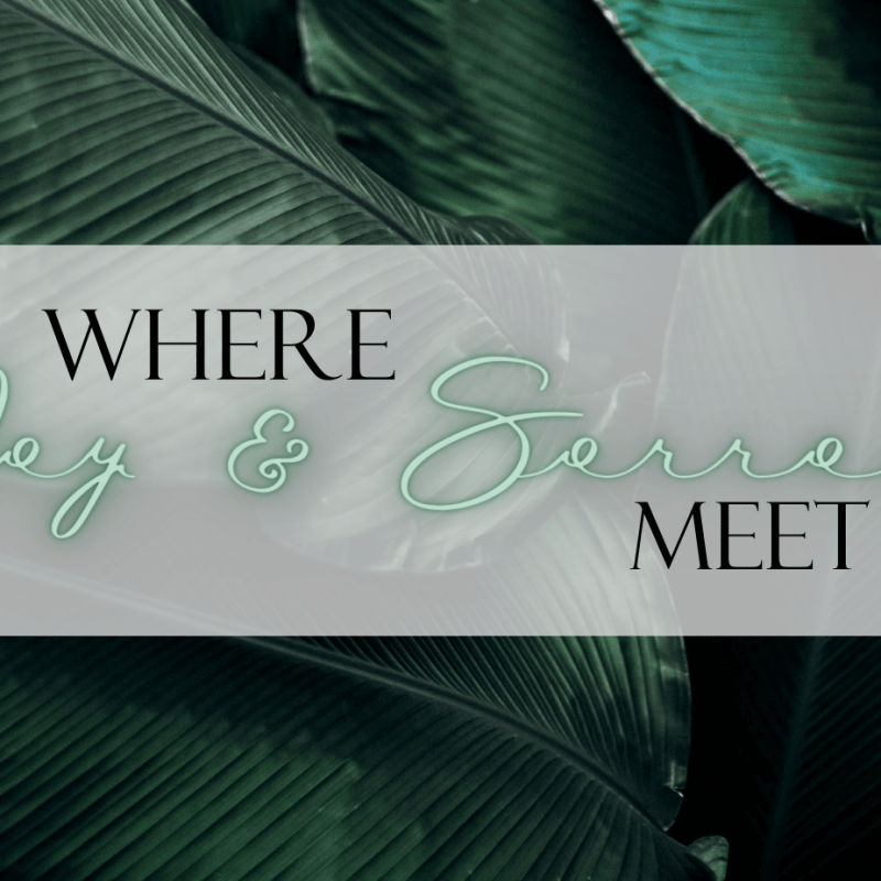 Where Joy and Sorrow&nbsp;Meet