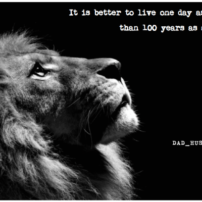 For Lack of A Better Title – You Have More Rights Then They Want You To&nbsp;Know